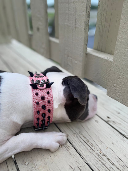 Spiked Collar