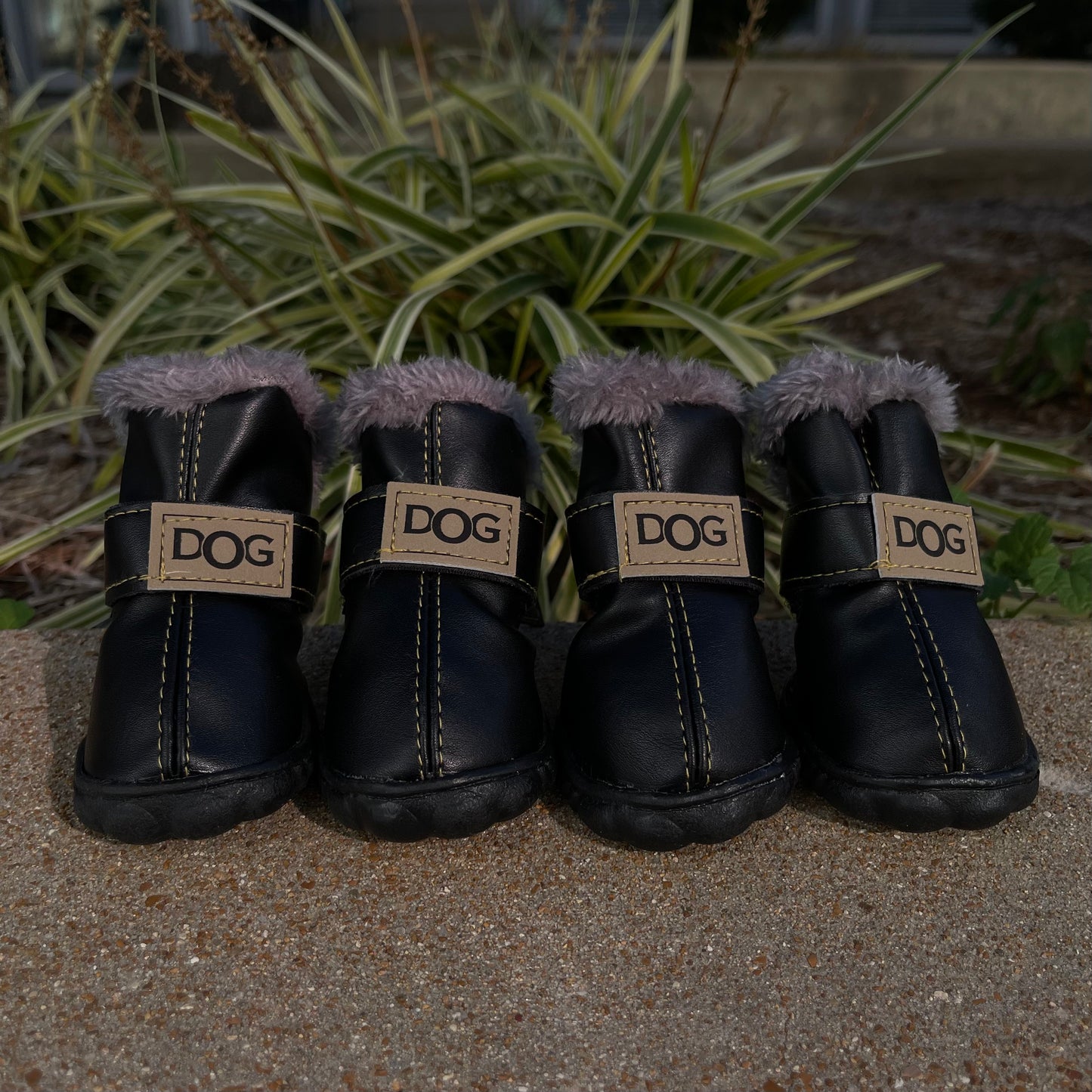 'DOG' Winter Boots