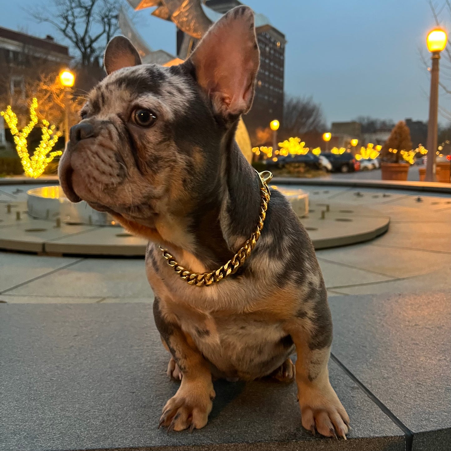Luxury Dog Chain Collar